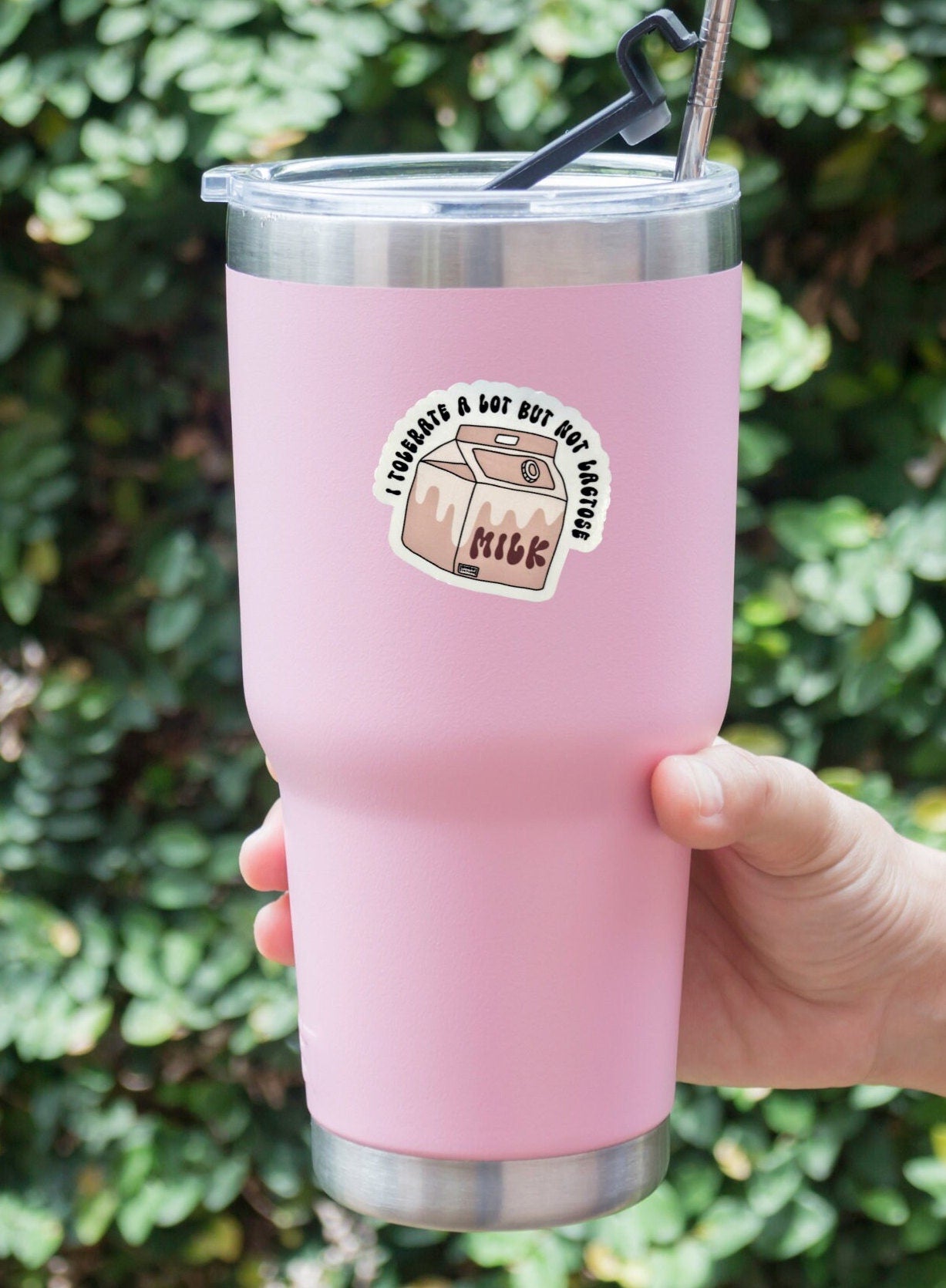 I Tolerate A Lot But Not Lactose Sticker